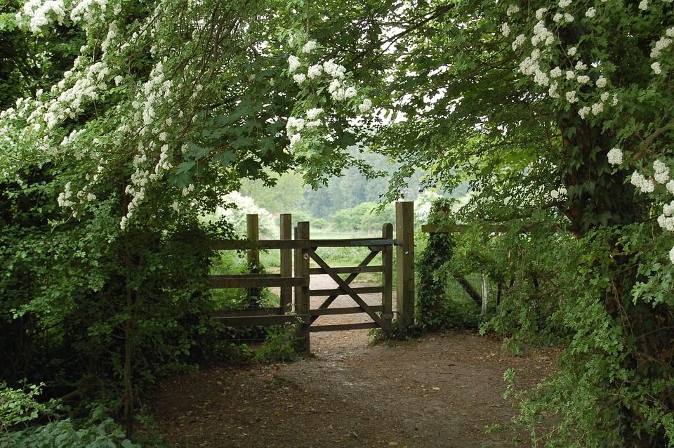 Country entrance wooden
