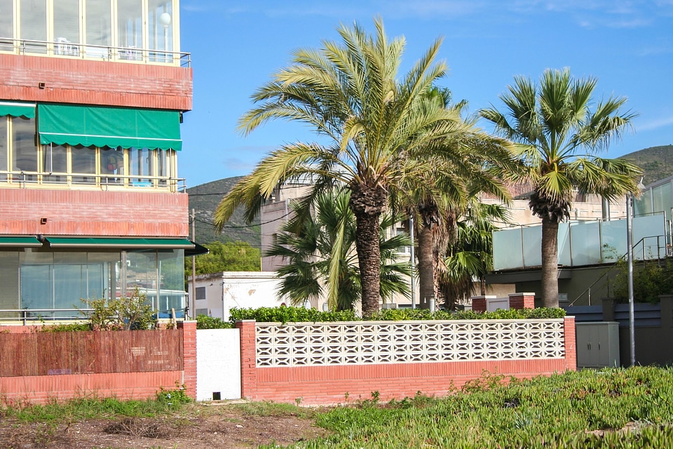 Architecture building house