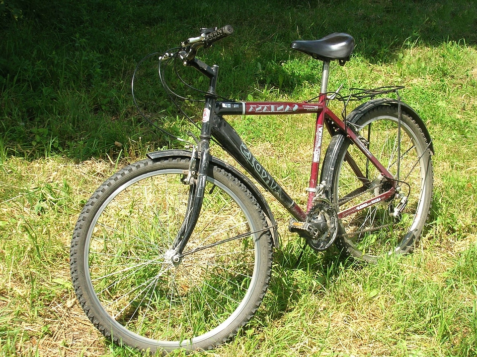Bicycle flora grass