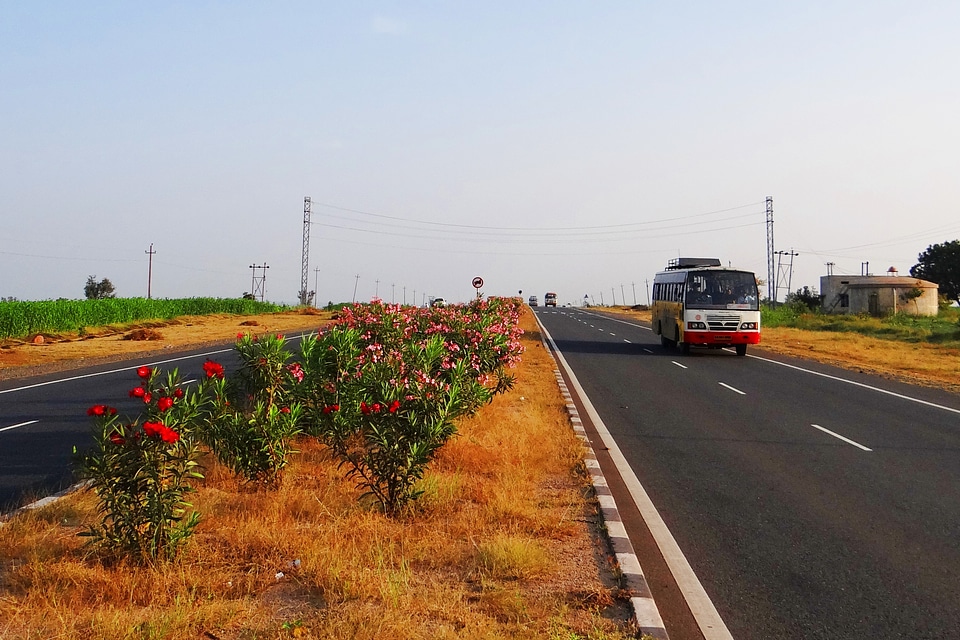 Karnataka india floral