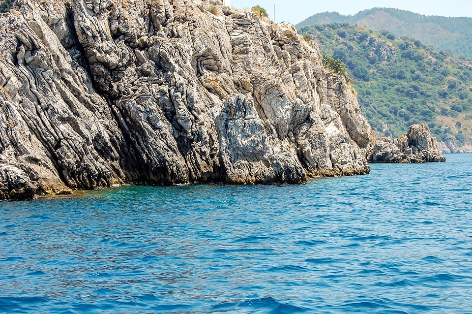 Coast coastline forest