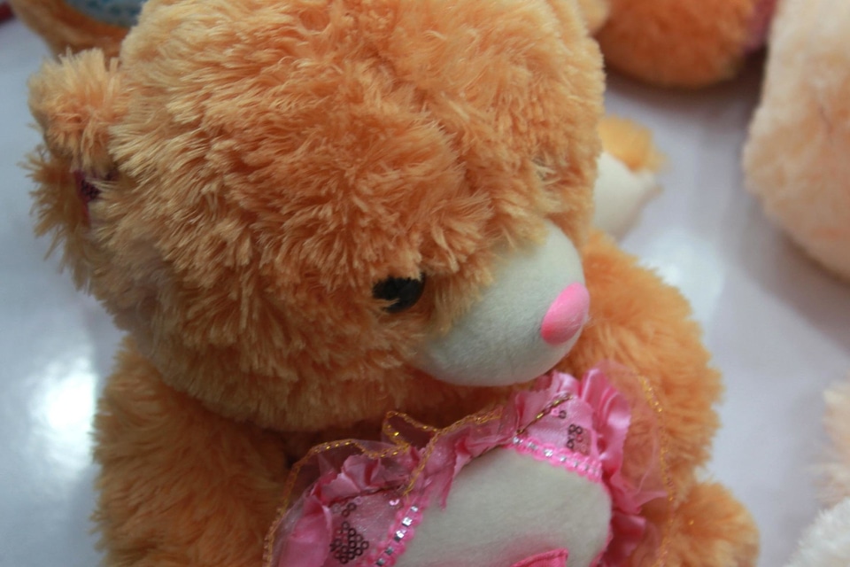 Cute teddy bear toy toy