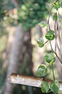 Bright environment fresh