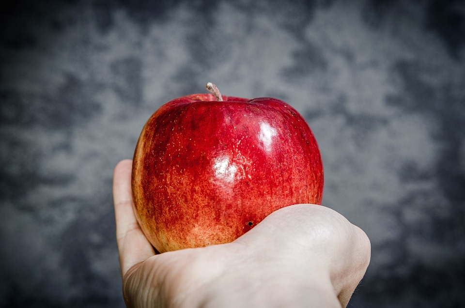 Apple beautiful photo diet