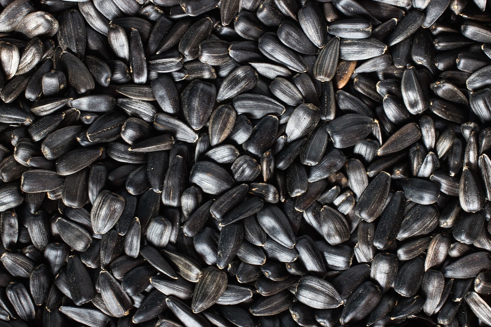 Agriculture black diet