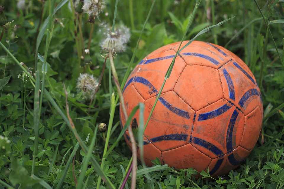 Ball flora football