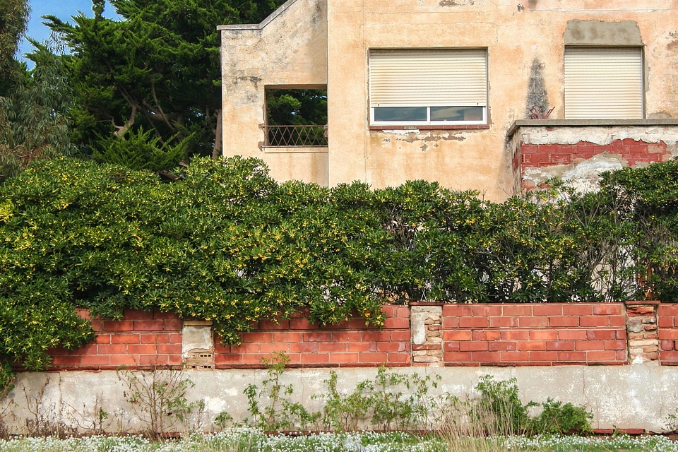 Brick bush exterior