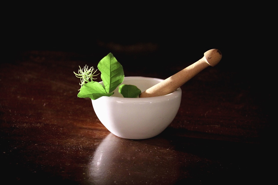Beautiful Photo bowl laboratory