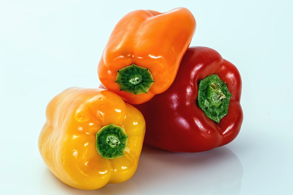 Bell Pepper diet food photo