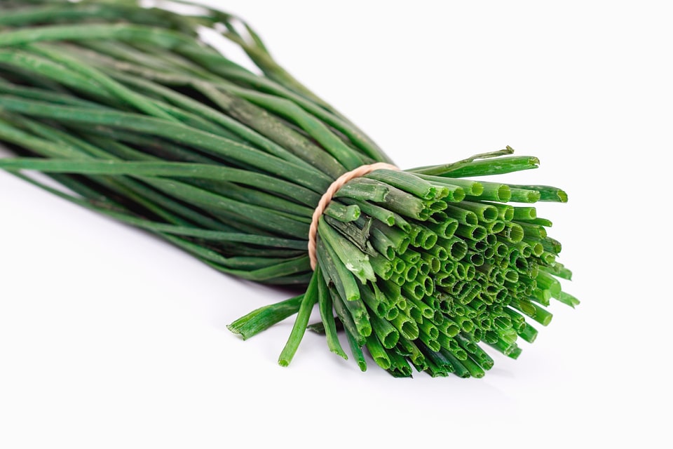 Diet food green