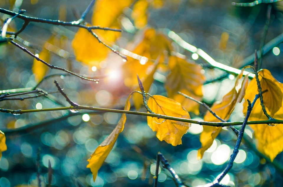Sun color nature