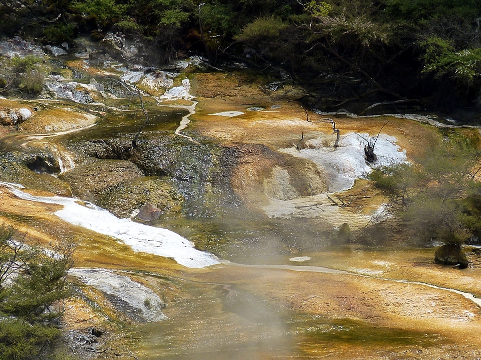 New zealand nature landscape