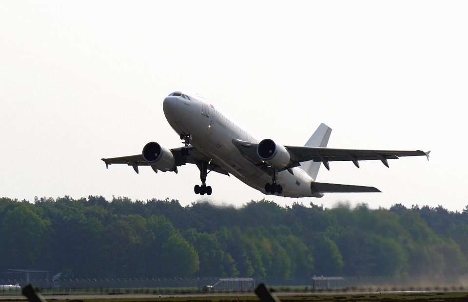Aircraft airport forest