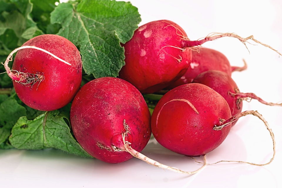 Beautiful Photo diet dietary