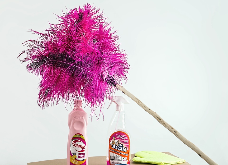 Brush cleaning hygiene