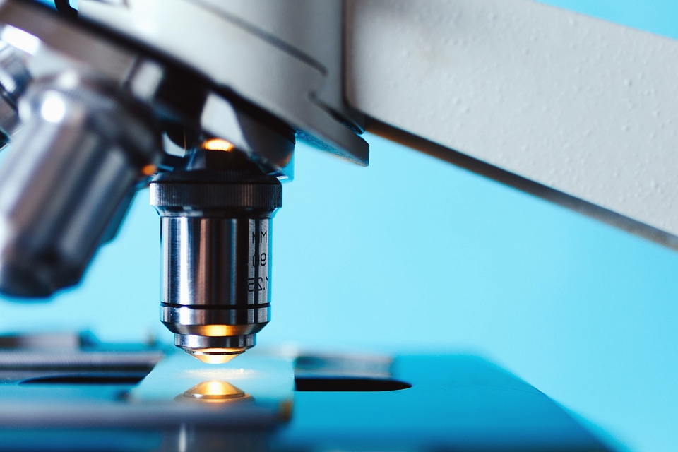 Beautiful Photo biology health care