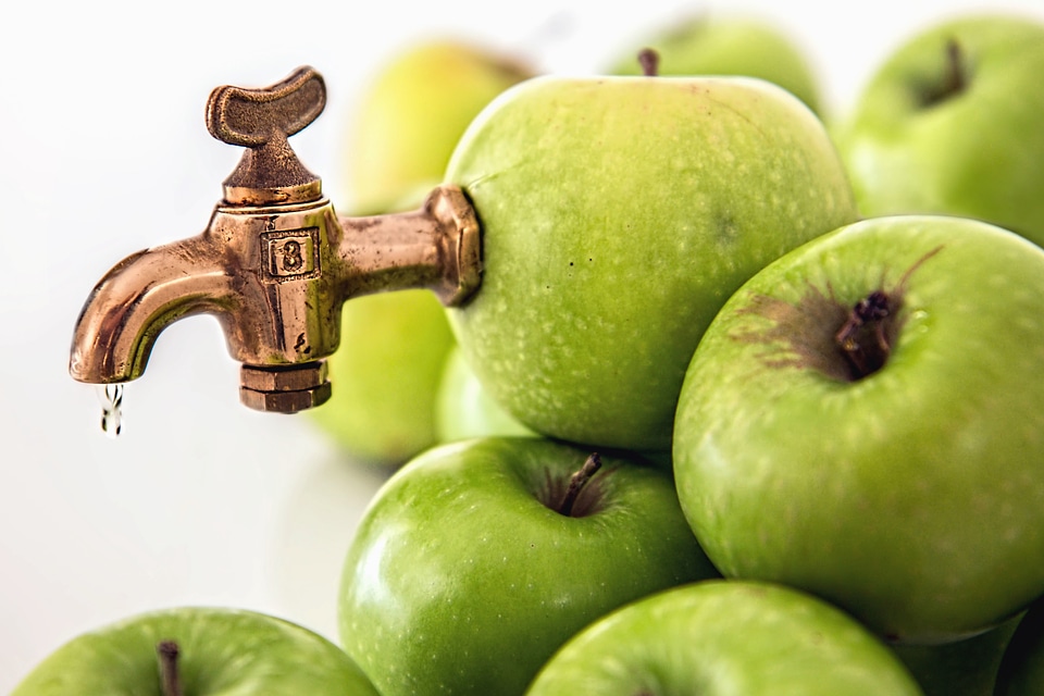 Apple beautiful photo diet