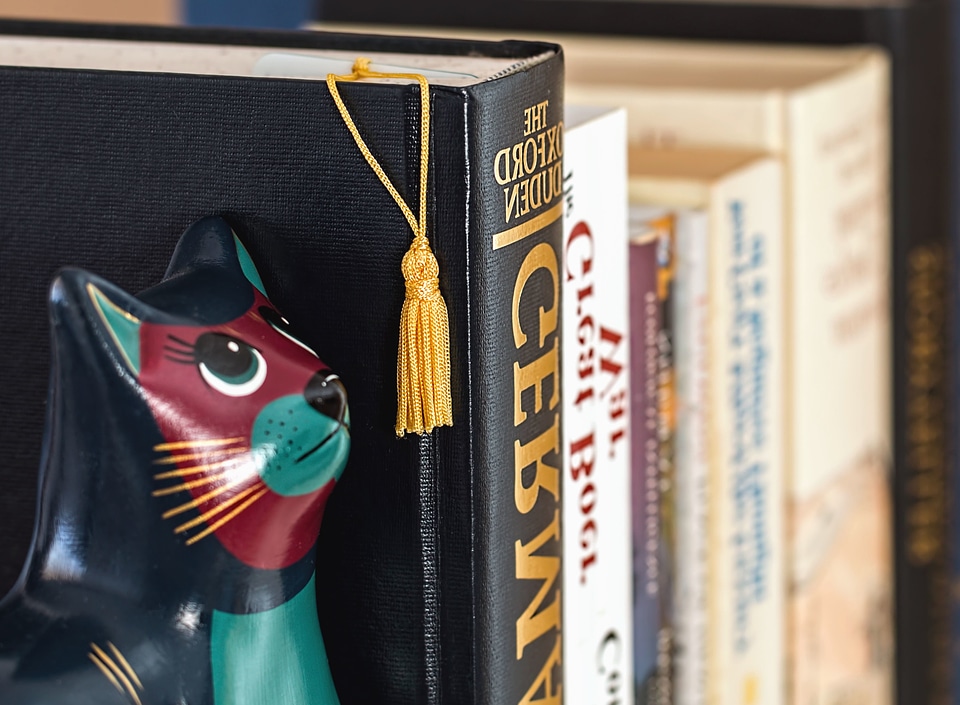 Animal book cat