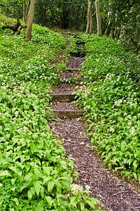 Landscape seasons spring