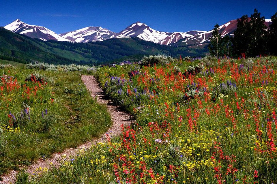 Landscape wilderness scenery