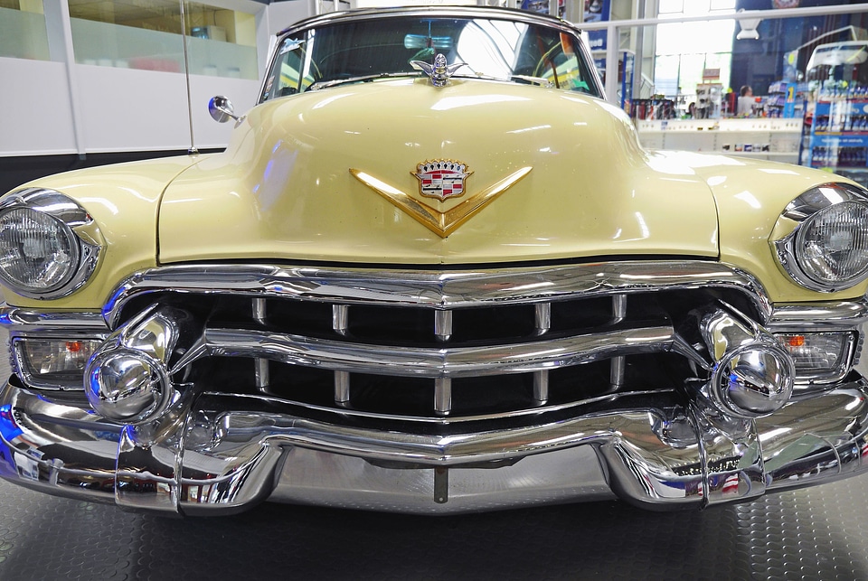 Automobile beautiful photo bumper