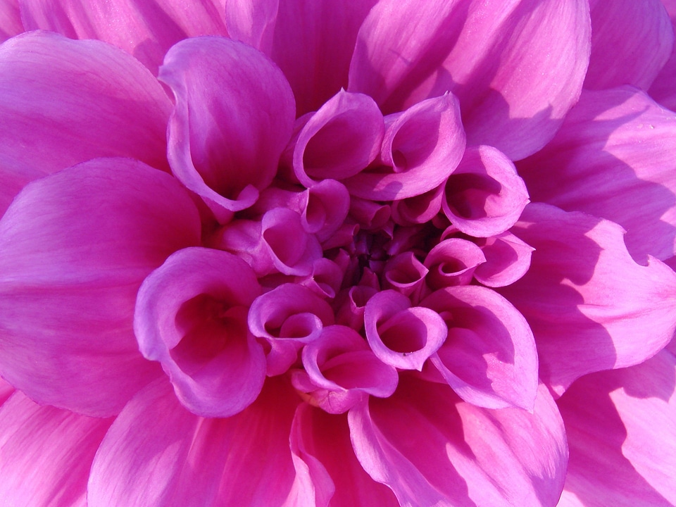 Bright nature floral