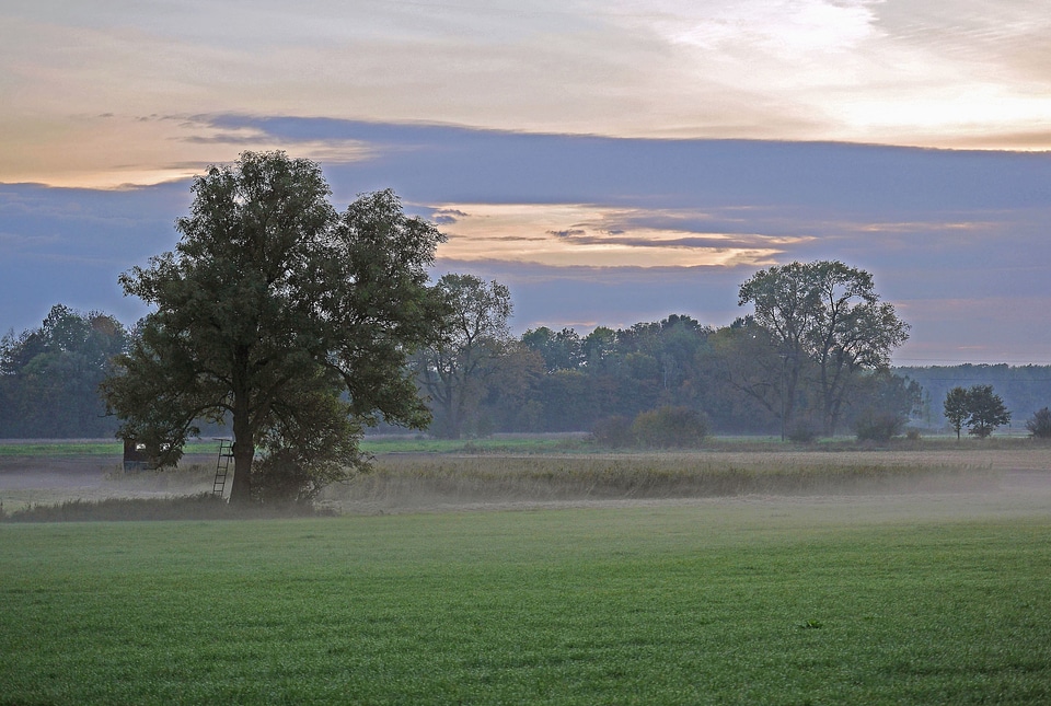 Cloud clouds field
