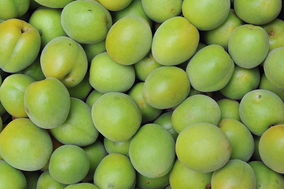 Fruit green backdrop
