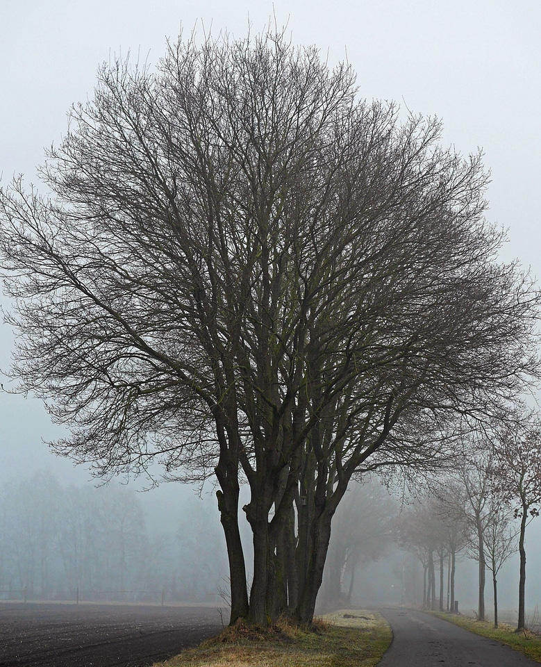 Autumn autumn season cold