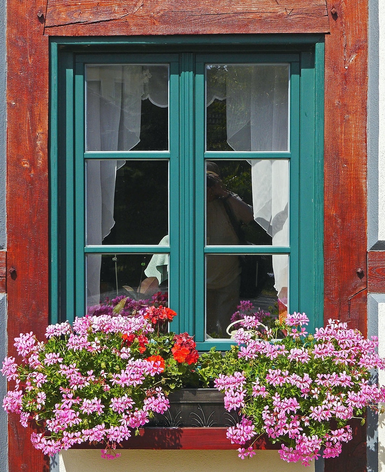 Architecture blossom flora