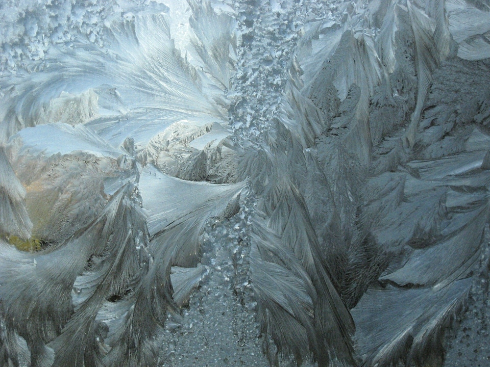 Pattern freeze snowy