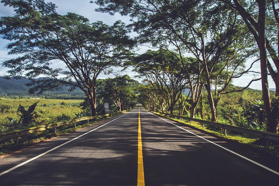 Asphalt highway landscape