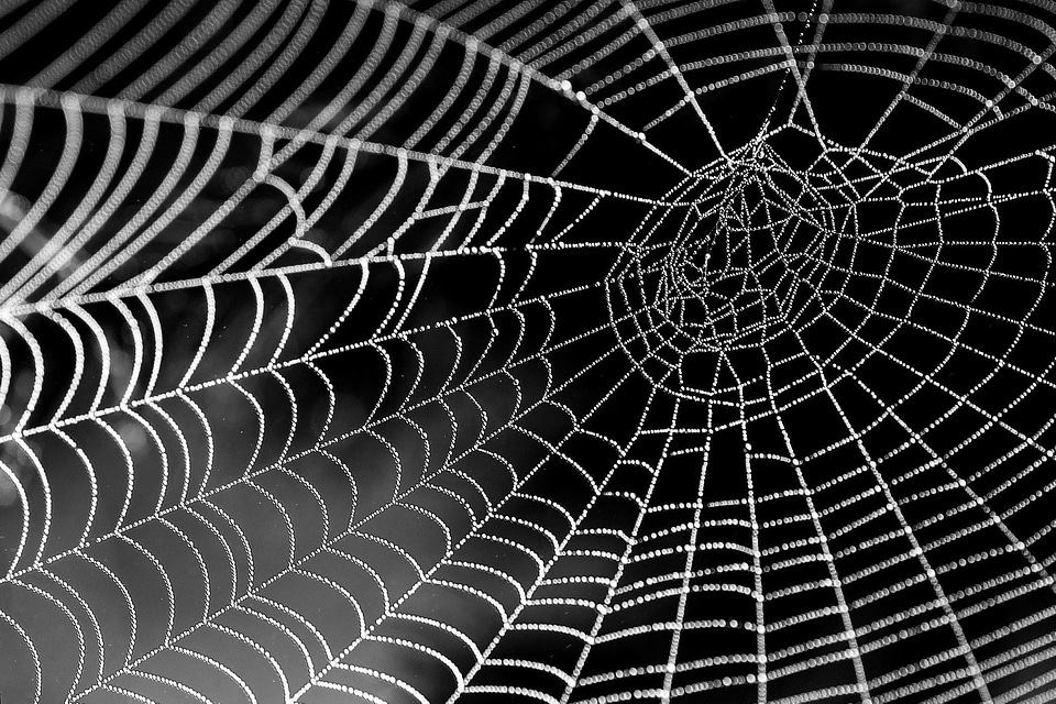 Design dew monochrome