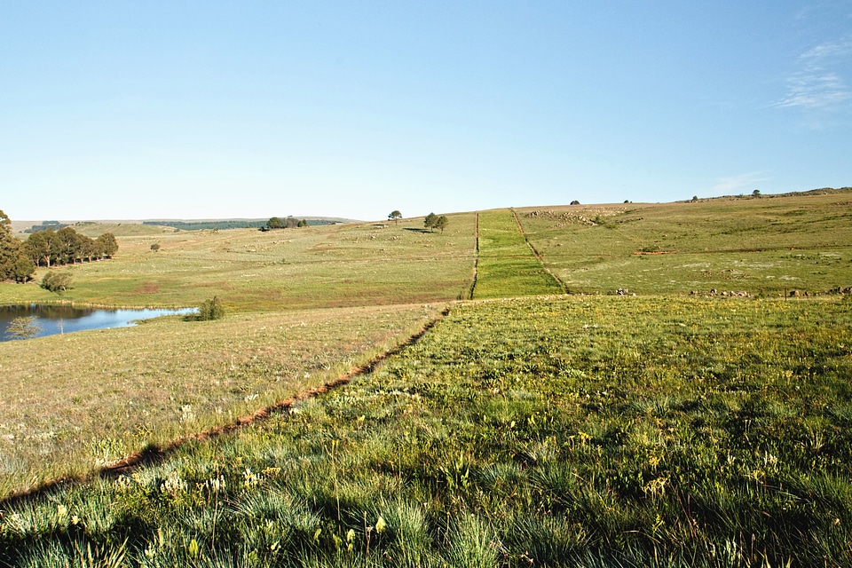 Agriculture countryside farm