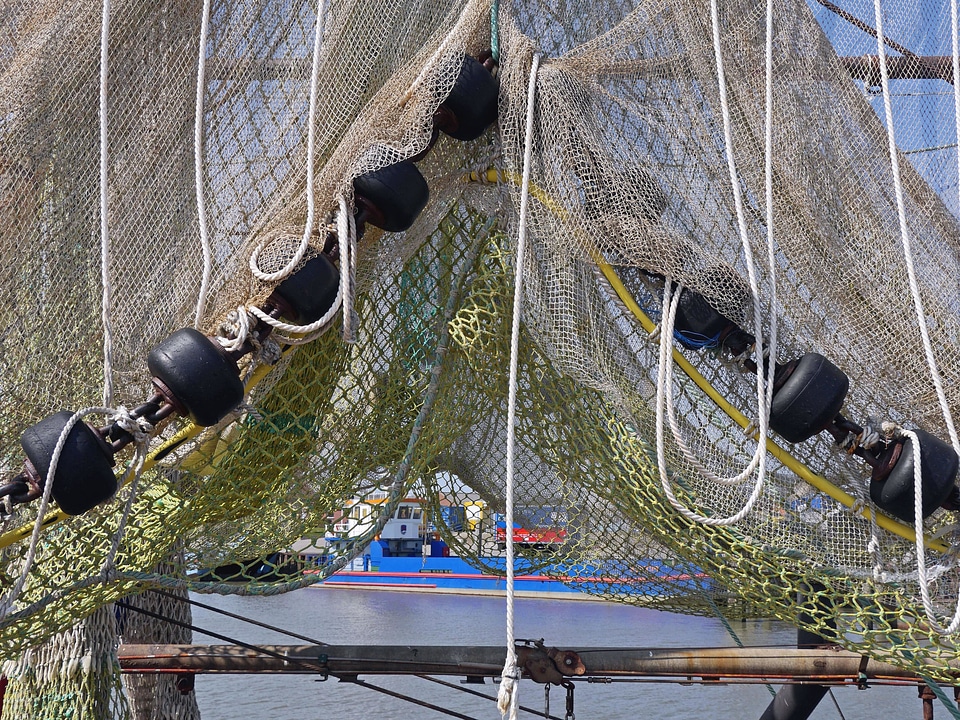 Boat fence fish photo