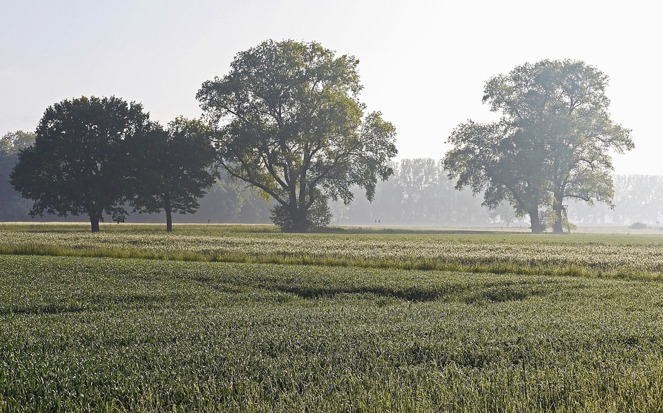 Agriculture countryside field