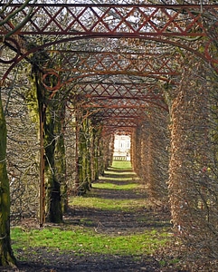 Arch architecture flora