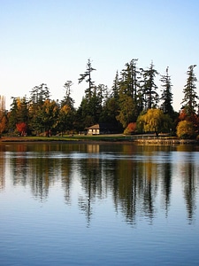 Forest house lake photo