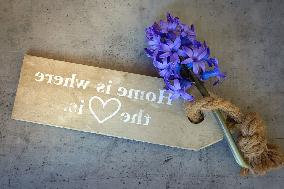 Blossom board flora