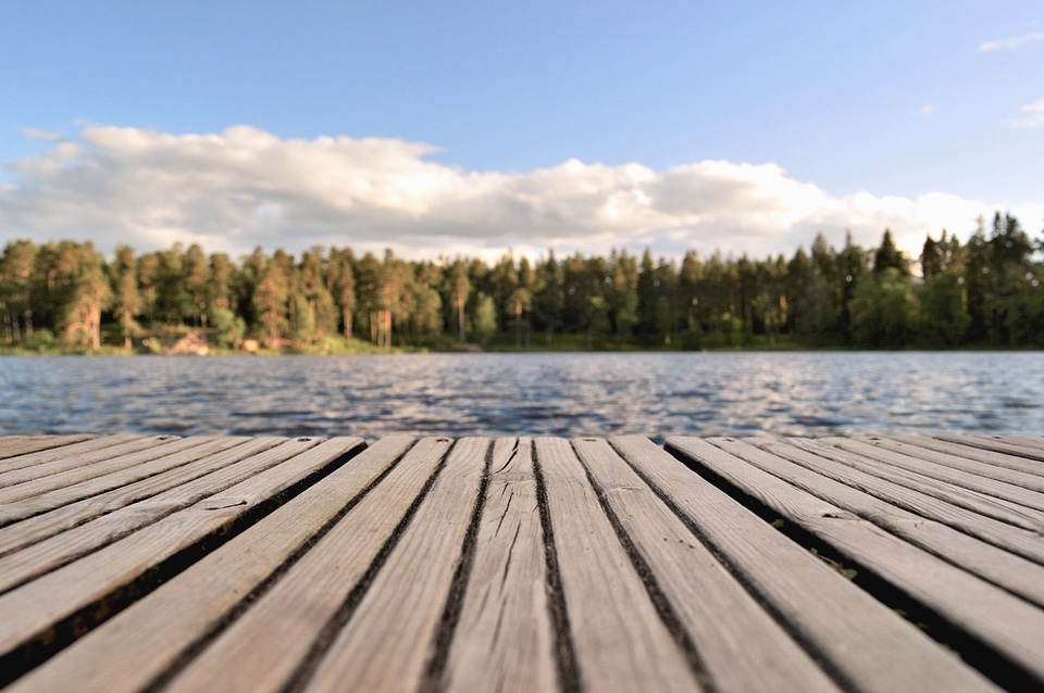 Forest lake landscape