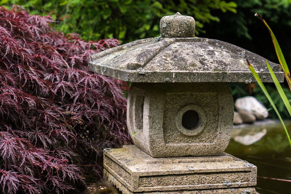 Garden japanese garden relax