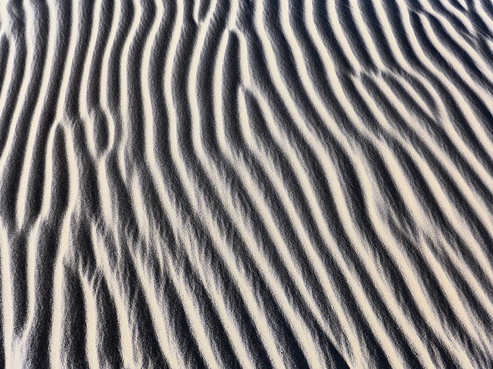 Desert landscape line
