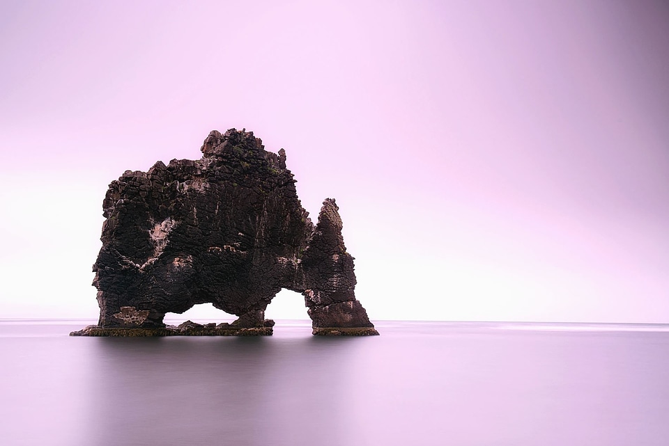 Island plant rocks