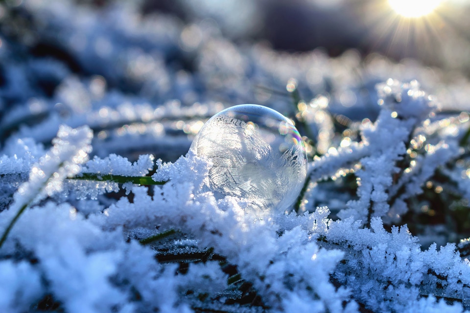 Ball-Shaped beautiful photo cold
