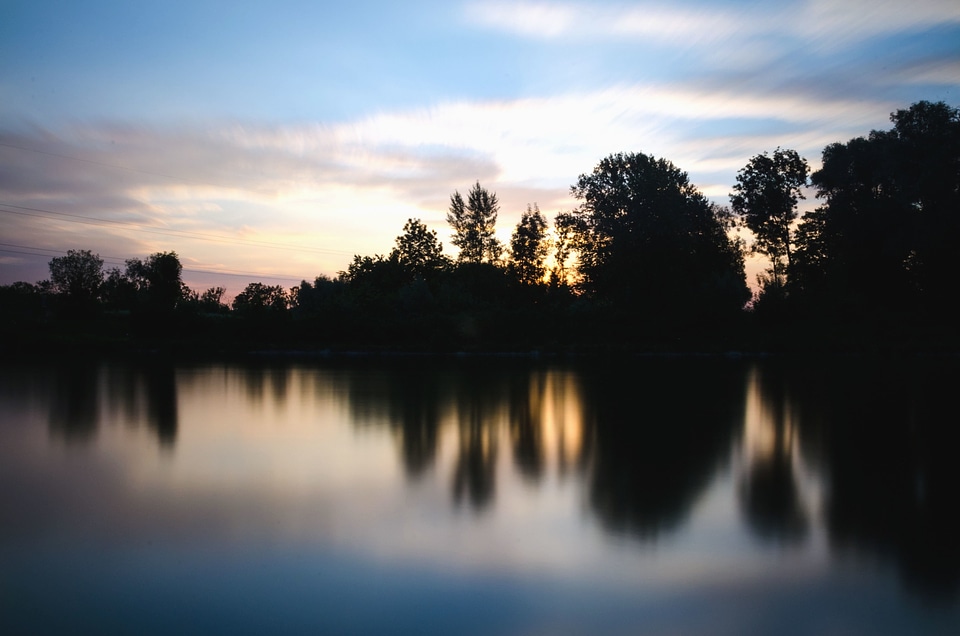 Dusk forest landscape
