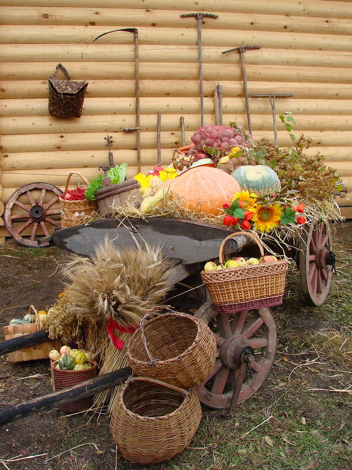 Pumpkins apples vegetables