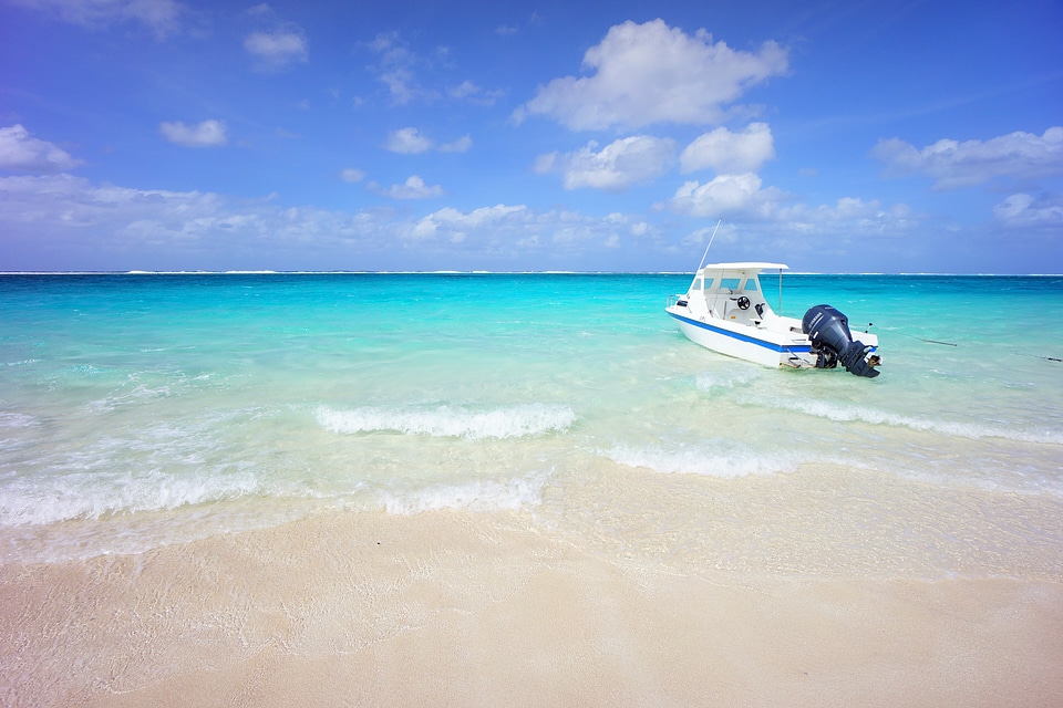 Mahogany island beach landscape