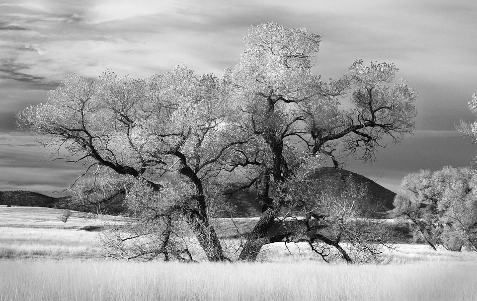 Black And White cloud clouds