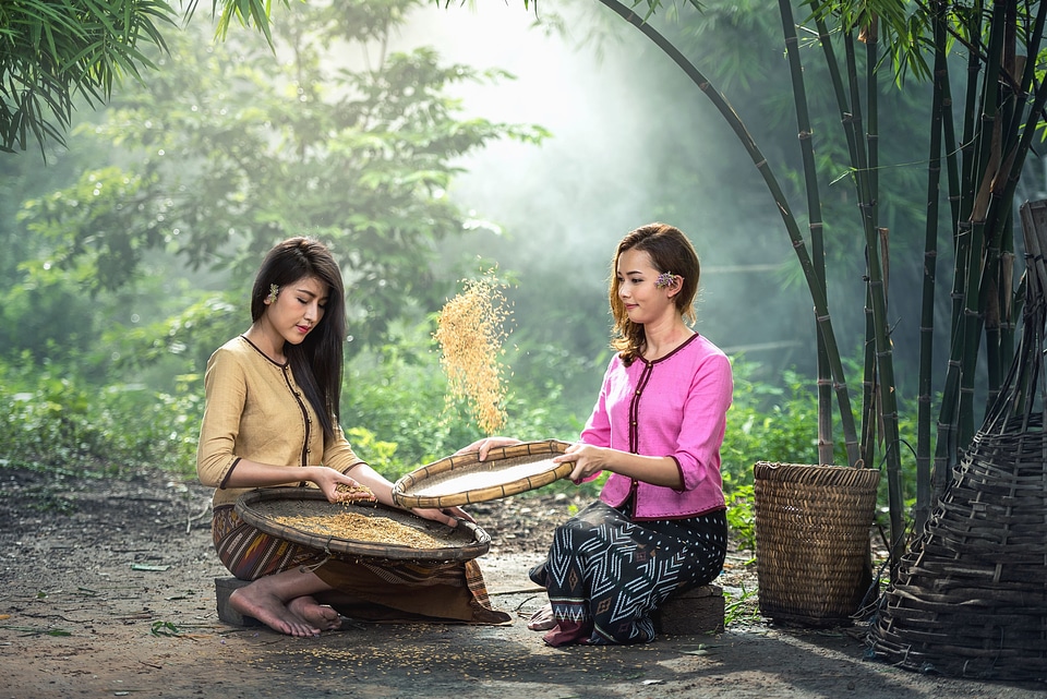 Agriculture Asia bag