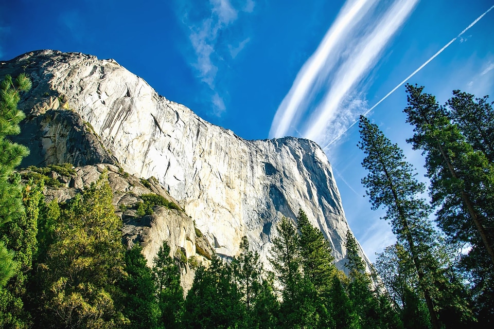 Blue Sky cliff forest